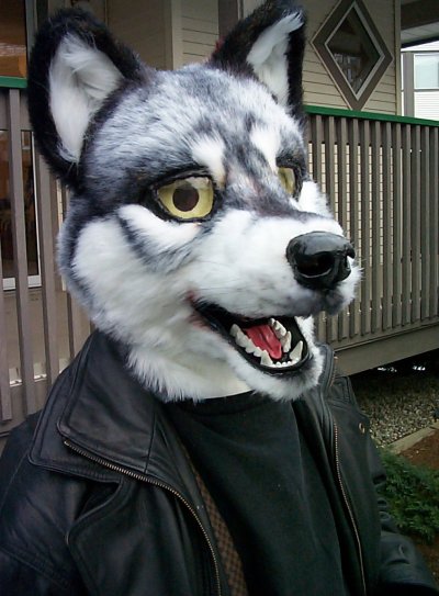 [Fursuit_wolf004.jpg]