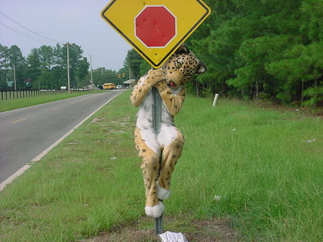 [StopSign.jpg]