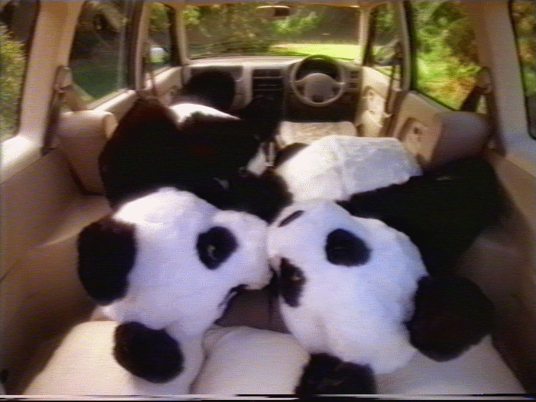 [panda3.gif]