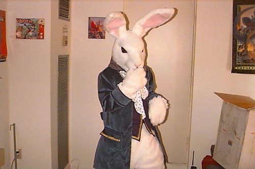 [Bunny07.jpg]