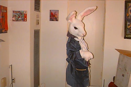 [Bunny09.jpg]