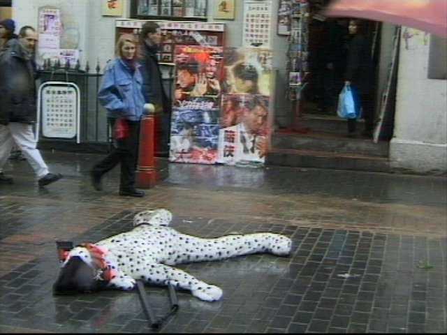 [Dalmation_10.jpg]