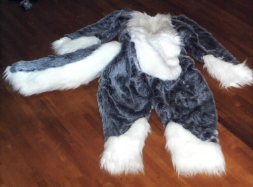 [Winterfullsuit.jpg]