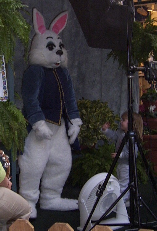 [VortexK_EasterBunny_04.jpg]