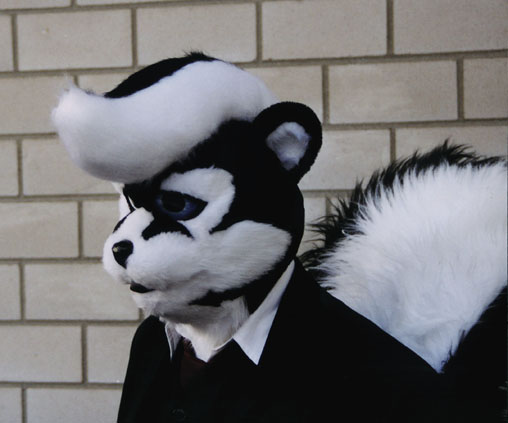 [serious_skunk_01.jpg]