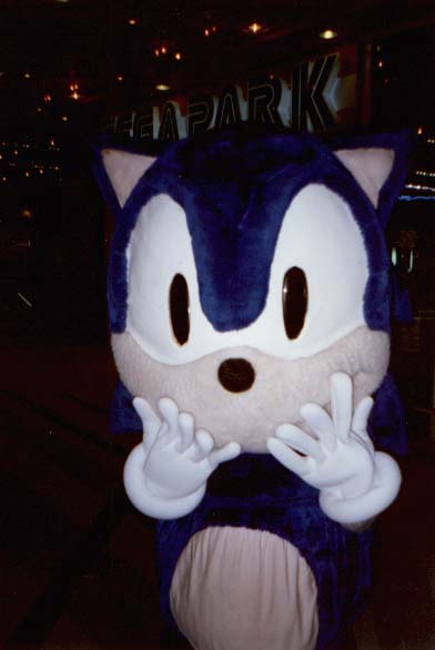 [Sonic29.jpg]