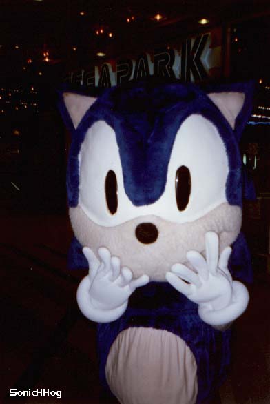 [segapark_sonicsuit1.jpg]