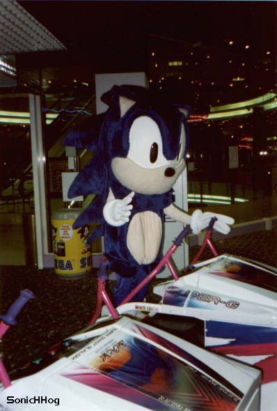 [segapark_sonicsuit2.jpg]