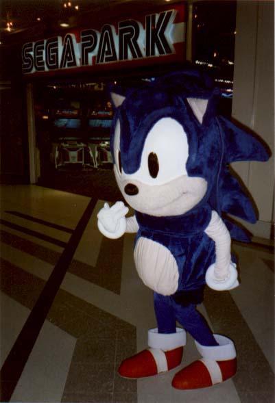 [segapark_sonicsuit3.jpg]