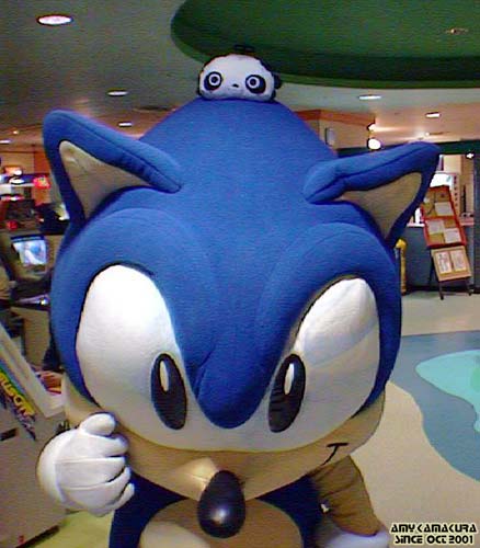 [sonic23.jpg]