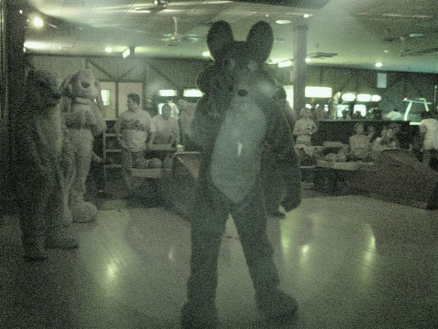 [20020328_FursuitBowling_01.jpg]