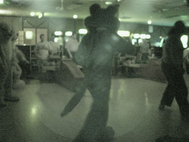 [20020328_FursuitBowling_02.jpg]