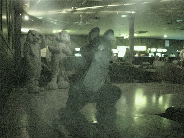 [20020328_FursuitBowling_06.jpg]