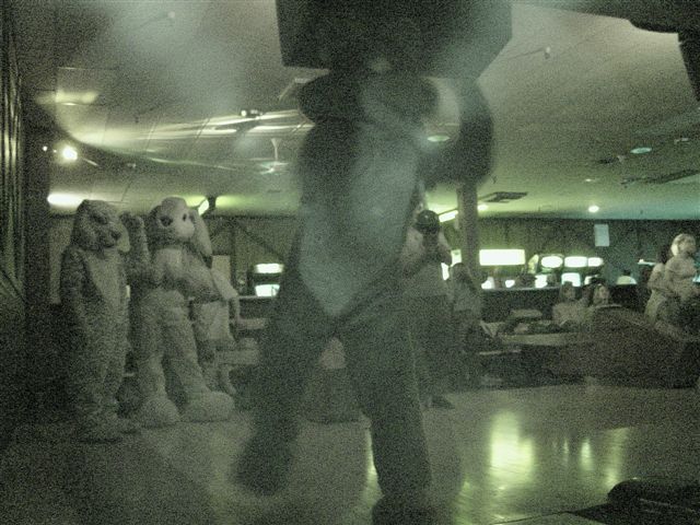 [20020328_FursuitBowling_07.jpg]