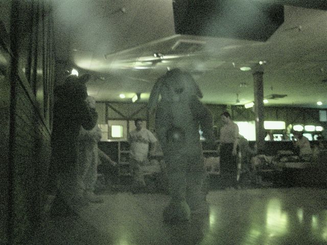 [20020328_FursuitBowling_08.jpg]