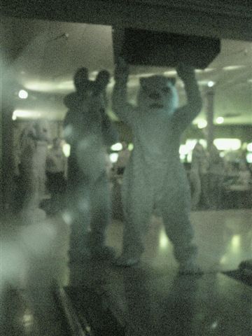 [20020328_FursuitBowling_20.jpg]