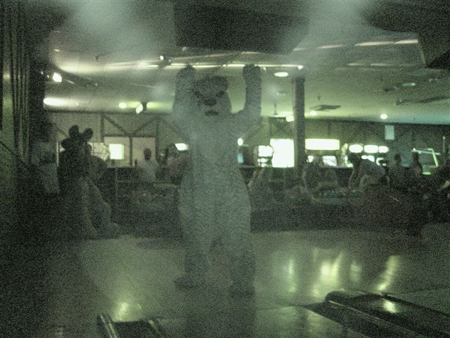 [20020328_FursuitBowling_29.jpg]