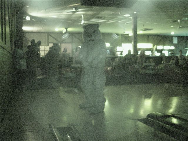 [20020328_FursuitBowling_31.jpg]