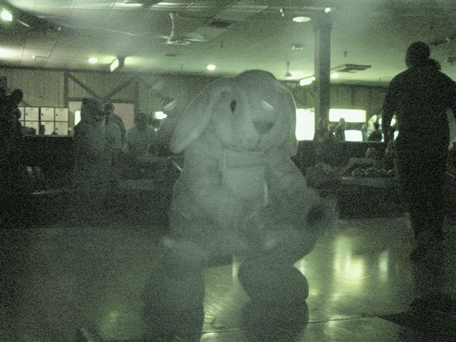 [20020328_FursuitBowling_48.jpg]