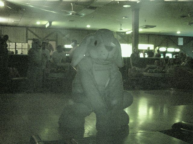 [20020328_FursuitBowling_49.jpg]