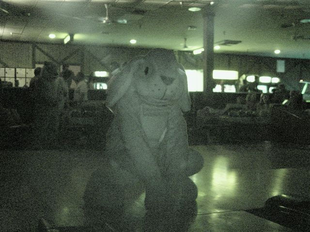 [20020328_FursuitBowling_50.jpg]