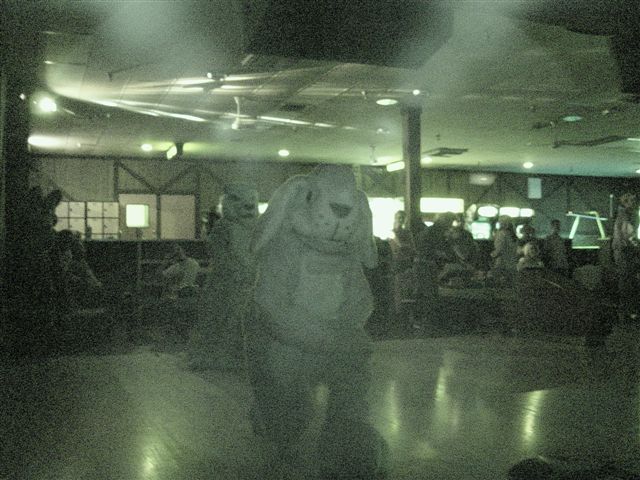 [20020328_FursuitBowling_58.jpg]