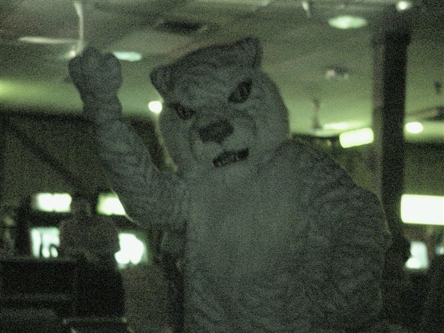 [20020328_FursuitBowling_60.jpg]