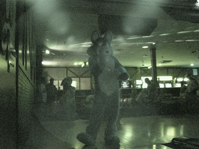 [20020328_FursuitBowling_61.jpg]