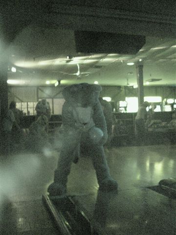 [20020328_FursuitBowling_62.jpg]