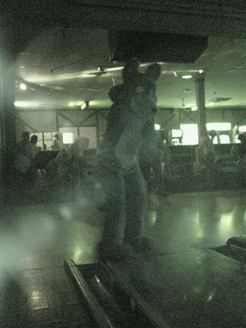 [20020328_FursuitBowling_63.jpg]