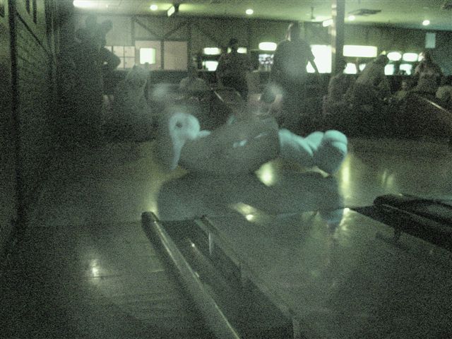 [20020328_FursuitBowling_65.jpg]