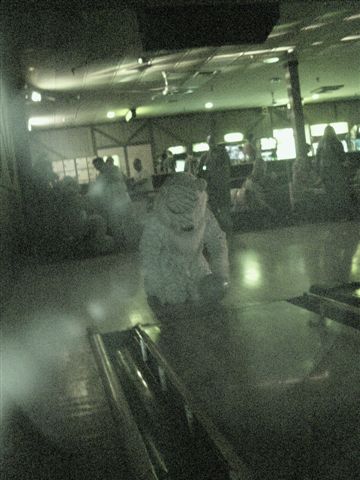 [20020328_FursuitBowling_76.jpg]