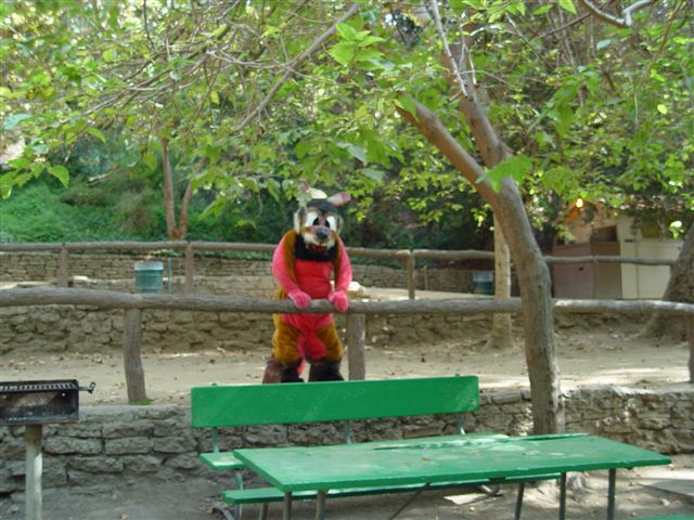 [AlBear_GriffithPark20021102_32.jpg]