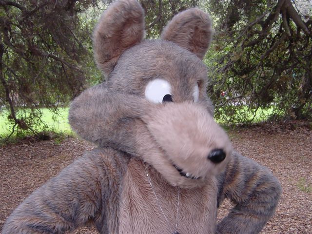 [AlBear_FurBQFursuits_039.jpg]