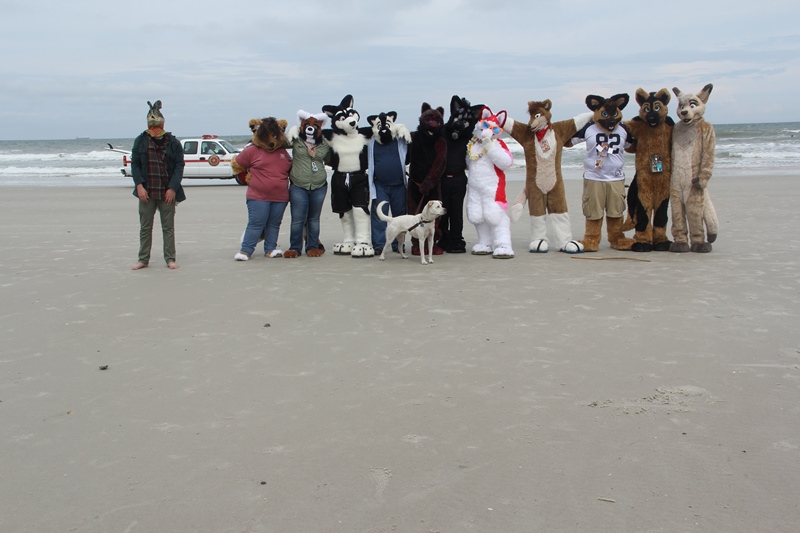 [Kovudalion_201204_Jacksonville_Beach_007.jpg]