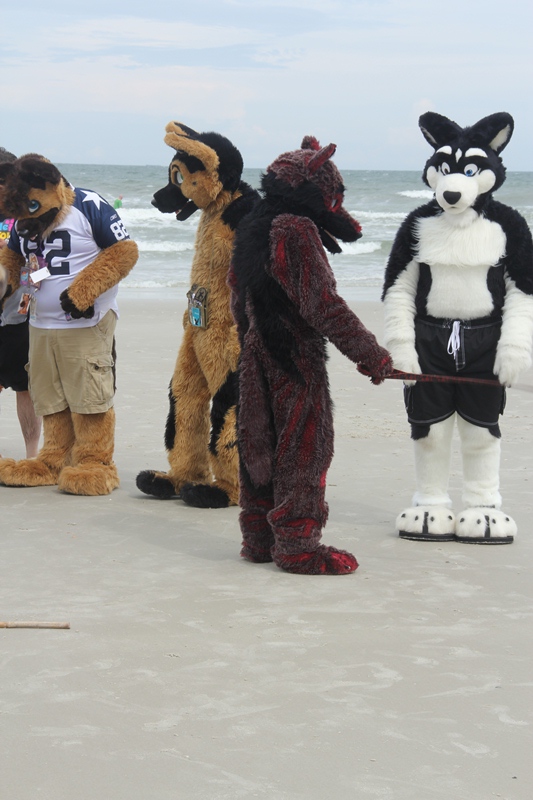 [Kovudalion_201204_Jacksonville_Beach_026.jpg]