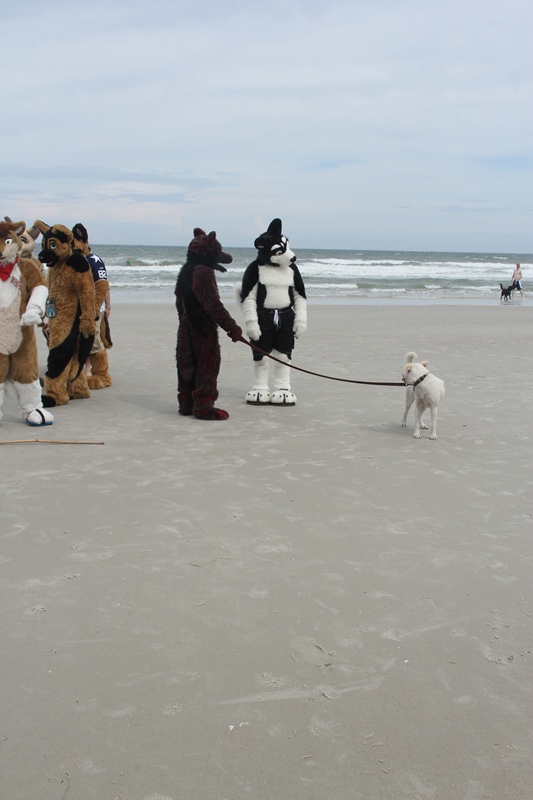 [Kovudalion_201204_Jacksonville_Beach_029.jpg]