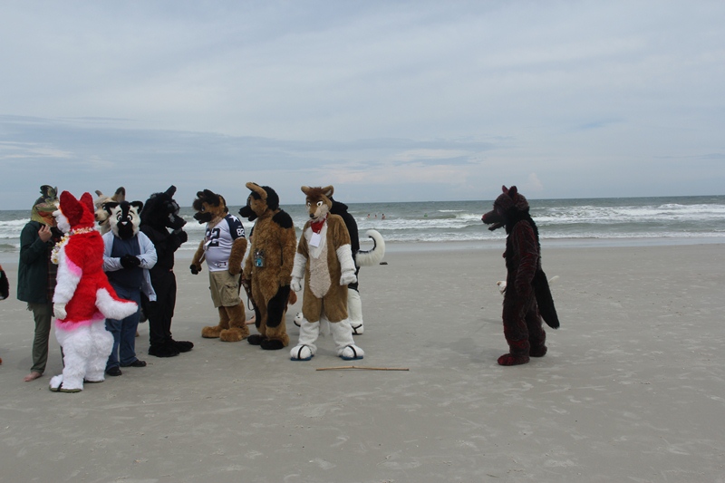 [Kovudalion_201204_Jacksonville_Beach_041.jpg]