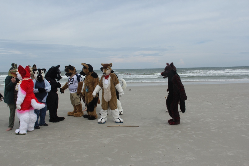 [Kovudalion_201204_Jacksonville_Beach_042.jpg]