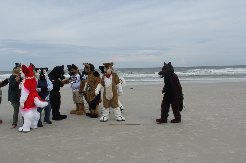 [Kovudalion_201204_Jacksonville_Beach_043.jpg]