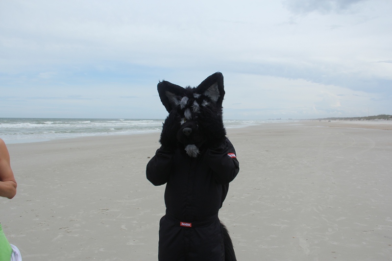 [Kovudalion_201204_Jacksonville_Beach_111.jpg]