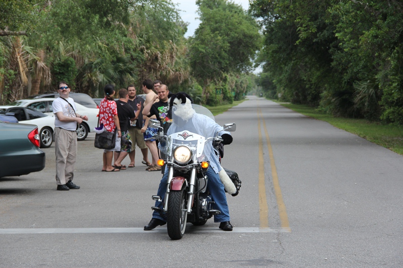 [Kovudalion_201204_Jacksonville_Beach_125.jpg]