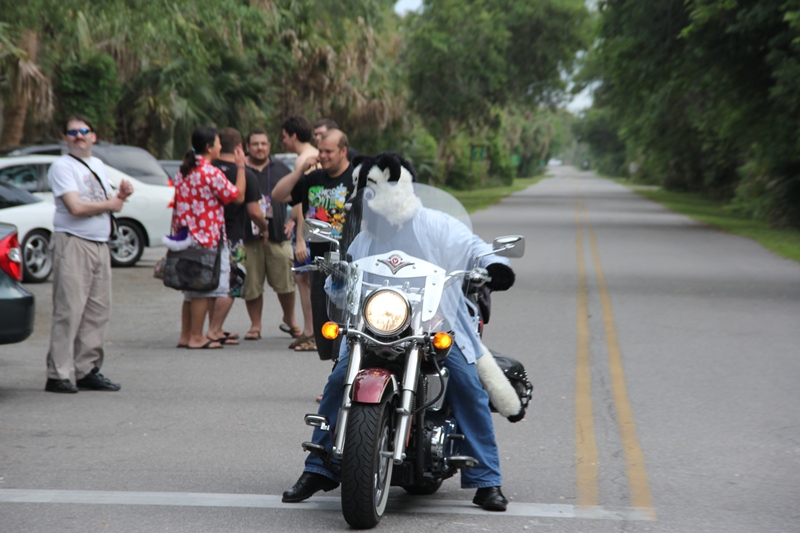 [Kovudalion_201204_Jacksonville_Beach_126.jpg]