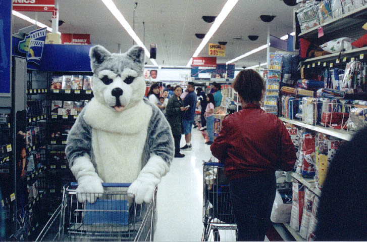 [HuskyShopping.jpg]