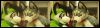 [< previous image]