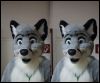 [< previous image]