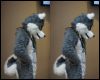 [< previous image]