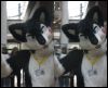 [< previous image]