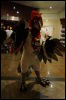 [< previous image]