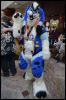 [< previous image]